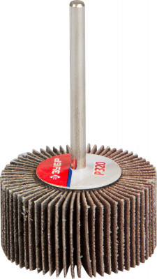 ЗУБР d 50 x 20 мм, p100, на шпильке d 6 мм, круг шлифовальный лепестковый, профессионал (36601-100)