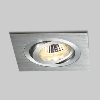Встраиваемый светильник Elektrostandard 1011 a029902