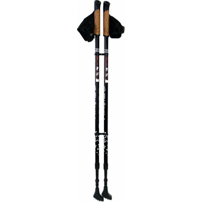Двухсекционные палки для скандинавской ходьбы GESS Basic Walker GESS-919