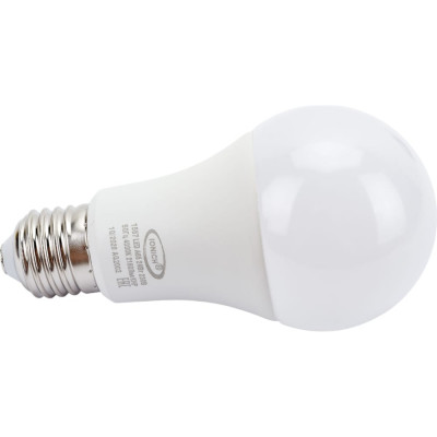 Светодиодная лампа общего назначения IONICH ILED-SMD2835-A65-24-2160-230-4-E27 1557