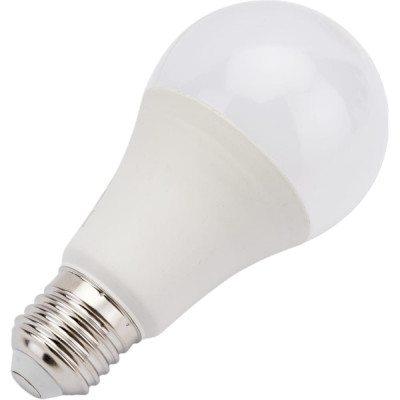 Светодиодная лампа общего назначения IONICH ILED-SMD2835-A65-24-2160-230-6.5-E27 1558