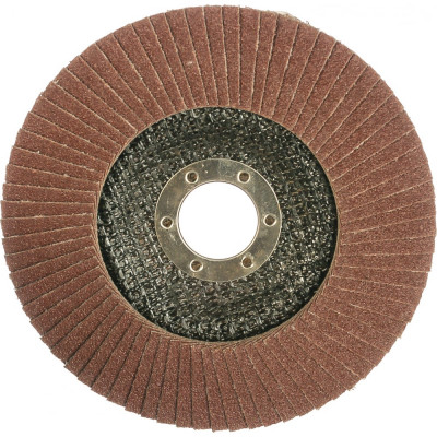 Курс диск лепестковый торцевой, 125 мм p 100 39915