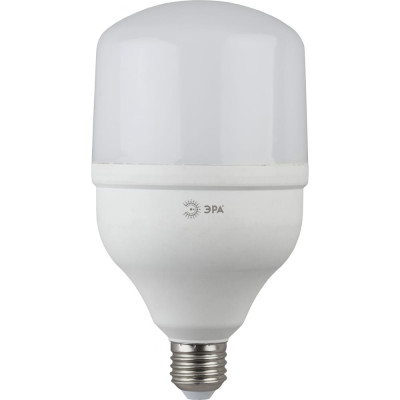 Светодиодная лампа ЭРА LED smd POWER 20W-4000-E27 40/800 Б0027001