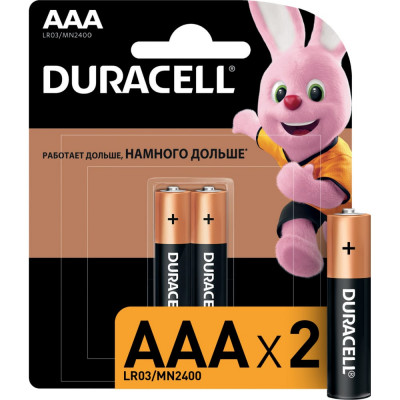 Литиевые батарейки Duracell LR03-2BL BASIC CN Б0026812