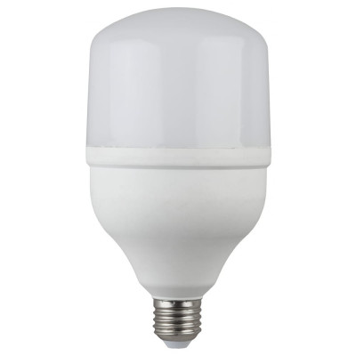 Светодиодная лампа ЭРА LED smd POWER 30W-6500-E27 20/420 Б0027004