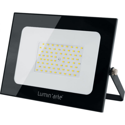 Прожектор Lumin'arte LFL-100W/05