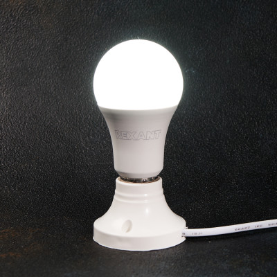 Светодиодная лампа REXANT 604-010