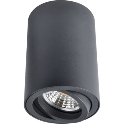 Потолочный светильник ARTE LAMP A1560PL-1BK