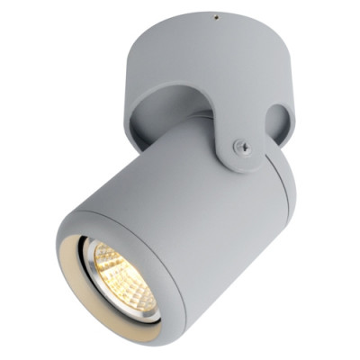 Потолочный светильник ARTE LAMP A3316PL-1GY