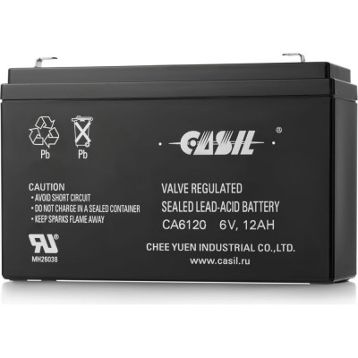 Аккумуляторная батарея CASIL CA6120 10601015