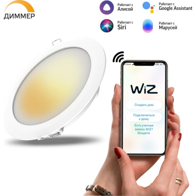 Светодиодный светильник Gauss Smart Home 2020122