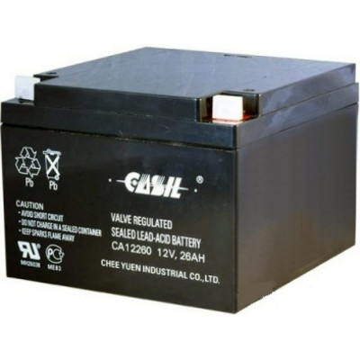 Аккумуляторная батарея CASIL CA12260 10601050