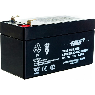 Аккумуляторная батарея CASIL CA1213 10601020