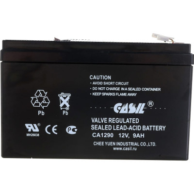 Аккумуляторная батарея CASIL CA1290 10601038