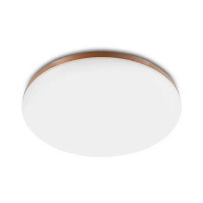 Потолочная лампа YEELIGHT Xiaomi LED Ceiling Lamp YLXD50YL WHITE