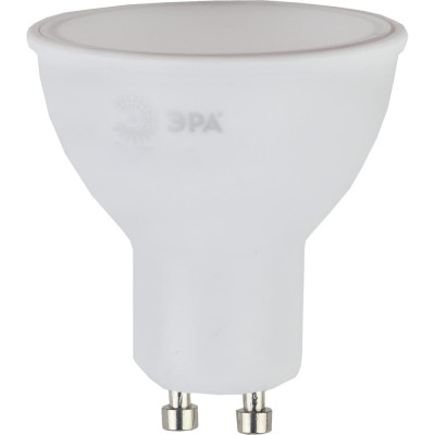 Светодиодные лампочки ЭРА Б0050691