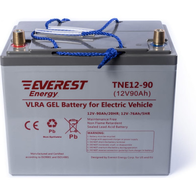 Тяговая аккумуляторная батарея EVEREST Energy Energy TNE 12-90
