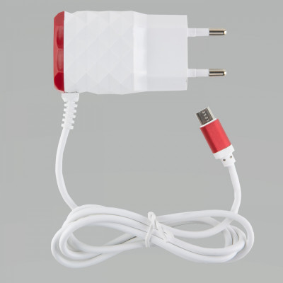 Зарядное устройство Red Line NC-2.1ACB УТ000023168