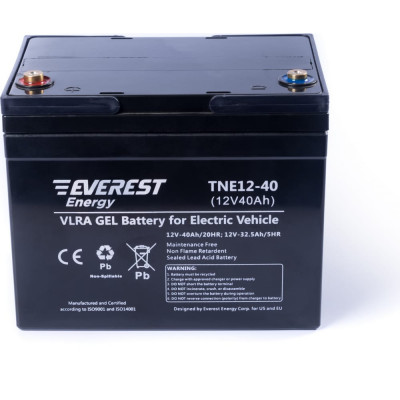 Тяговая аккумуляторная батарея EVEREST Energy Energy TNE 12-40
