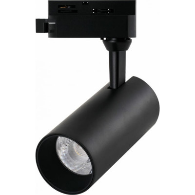 Трековый светильник ARTE LAMP REGULUS A4568PL-1BK