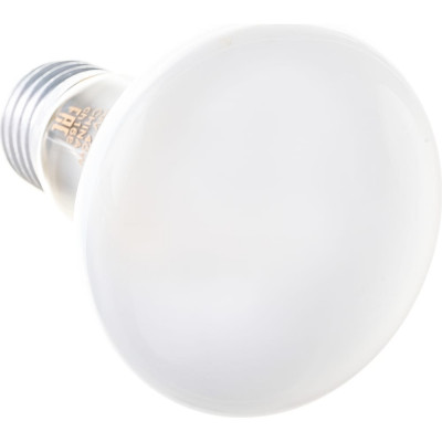 Лампа накаливания направленного света Osram CONC R63 4052899182240