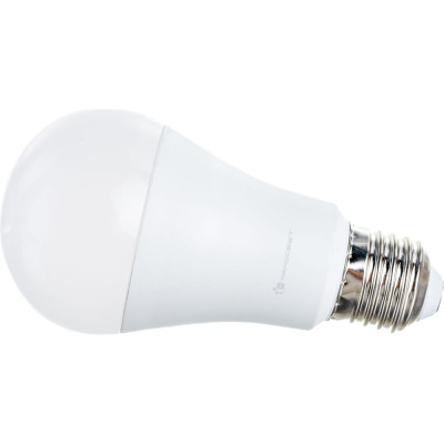 Светодиодная лампа Наносвет LH-GLS-100/E27/927 L093