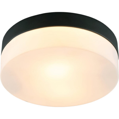 Потолочный светильник ARTE LAMP A6047PL-2BK