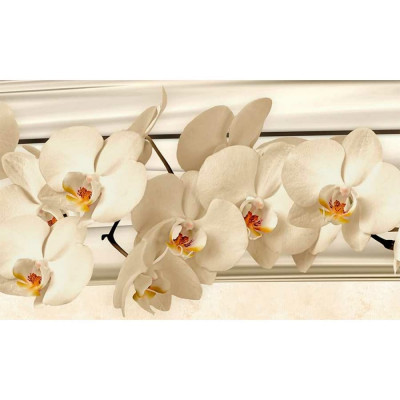 Кухонный фартук ООО ДЕКОР ТРЕЙДИНГ Белые орхидеи Белыеорхидеи31771000х600 мм