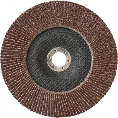 Лепестковый шлифовальный круг Кратон А60-180 1 13 04 012