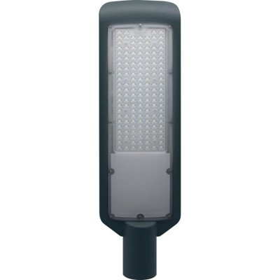 Уличный светодиодный светильник duwi СКУ-04 25081 4