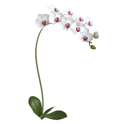 Наклейка Декоретто Белая Орхидея FG 6001 Декор
