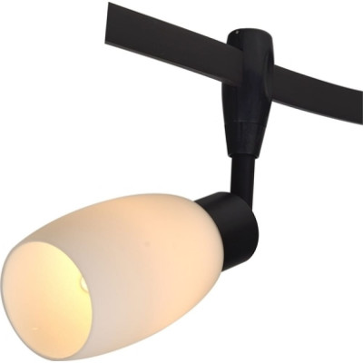 Потолочный светильник ARTE LAMP A3059PL-1BK