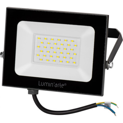 Прожектор Lumin'arte LFL-50W/05