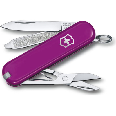 Нож-брелок Victorinox Classic SD Colors Tasty Grape 0.6223.52G