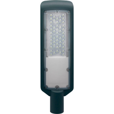 Уличный светодиодный светильник duwi СКУ-04 25079 1