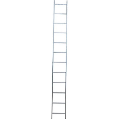 Усиленная односекционная приставная лестница STAIRS ТТ-01-00581