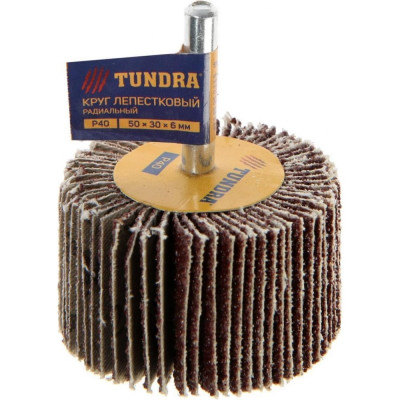 Радиальный лепестковый круг TUNDRA 5162354