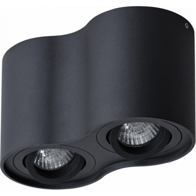 Потолочный светильник ARTE LAMP FALCON A5645PL-2BK