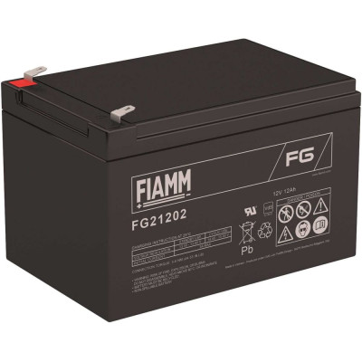 Аккумуляторная батарея FIAMM FG21202