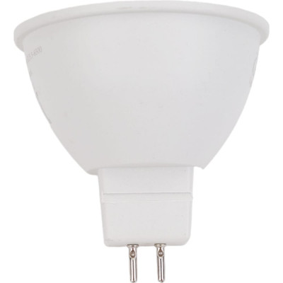 Светодиодная лампа General Lighting Systems 643600