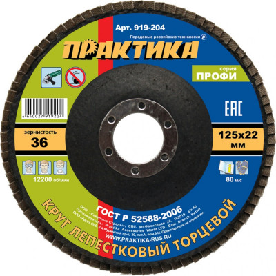 Шлифовальный лепестковый круг ПРАКТИКА 919-204