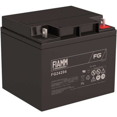 Аккумуляторная батарея FIAMM FG24204