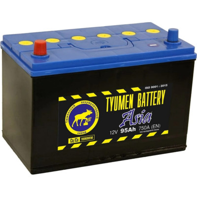Аккумуляторная батарея TYUMEN BATTERY TNSa95.1