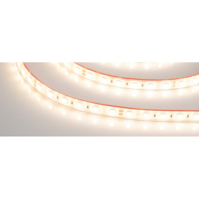 Герметичная светодиодная лента Arlight RTW-PFS-B60-13mm 24V Warm3000 033788
