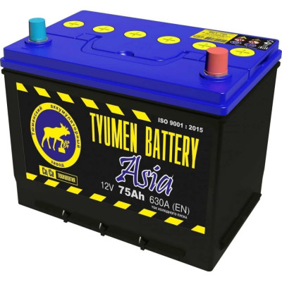 Аккумуляторная батарея TYUMEN BATTERY TNSa75.0