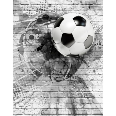 Фотообои Dekor Vinil Футбольный мяч на кирпичной стене 7657dv