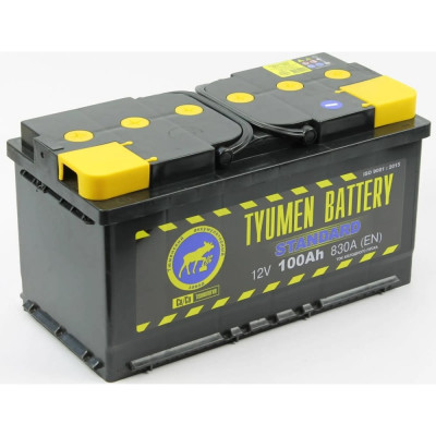 Аккумуляторная батарея TYUMEN BATTERY TNS100.1