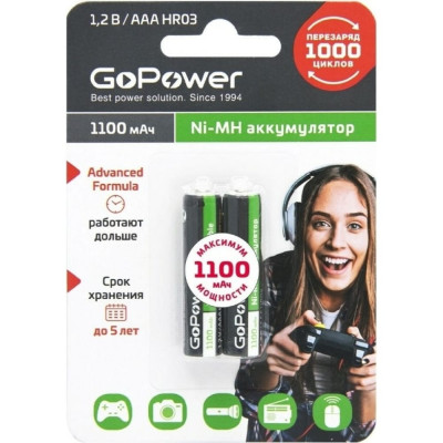 Бытовой аккумулятор GoPower HR03 00-00015316