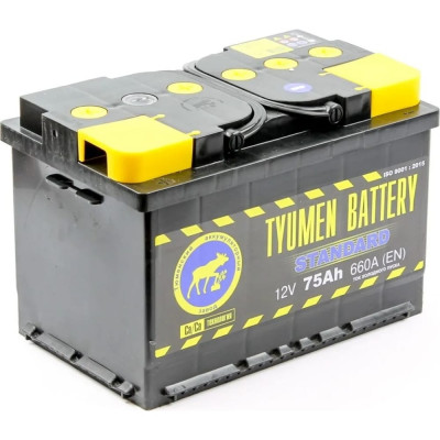 Аккумуляторная батарея TYUMEN BATTERY TNS75.1