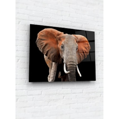 Картина на стекле ARTABOSKO слон WBR-11-636-06